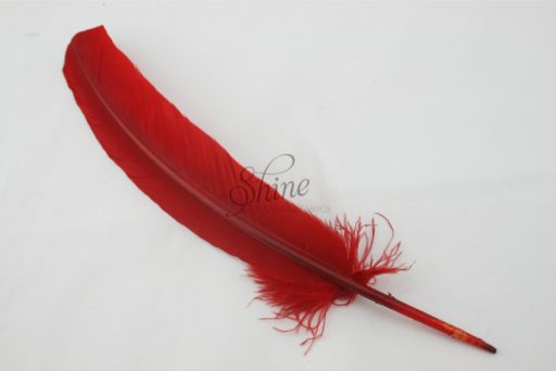 Single Feather Red