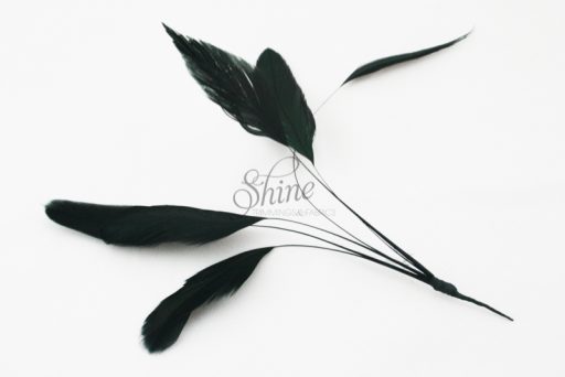 Stripped Feathers Black
