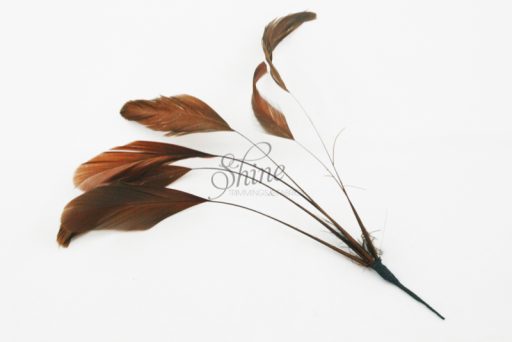 Stripped Feathers Chocolate Brown