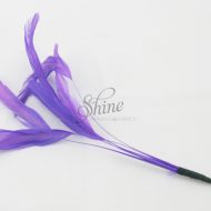 Stripped Feathers Lilac
