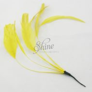 Stripped Feathers Lemon Yellow
