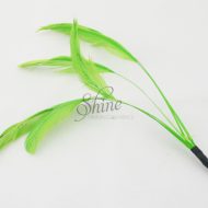 Stripped Feathers Lime Green
