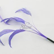 Stripped Feathers Lavender
