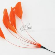Stripped Feathers Orange