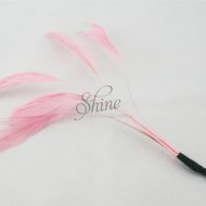 Stripped Feathers Pale Pink