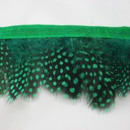 Feather Trimmings Green
