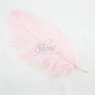 Ostrich Plume Baby Pink