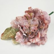 Cabbage Rose Black