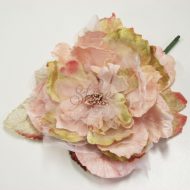 Cabbage Rose Cream