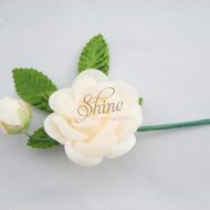 Medium Single Flower with Leaves and Bud Apricot