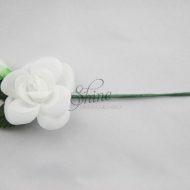 Medium Single Flower with Leaves and Bud White Green