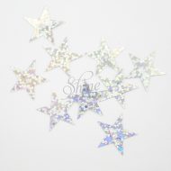 Sequin Star