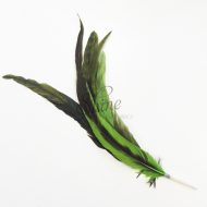 Extra Large Two Tone Cocktail Spike 30-35cm Lime
