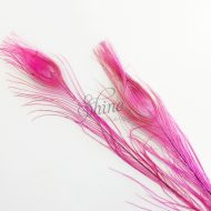 Dyed Peacock Eye Feather Large 65cm - Pink