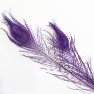 Dyed Peacock Eye Feather Large 65cm - Purple
