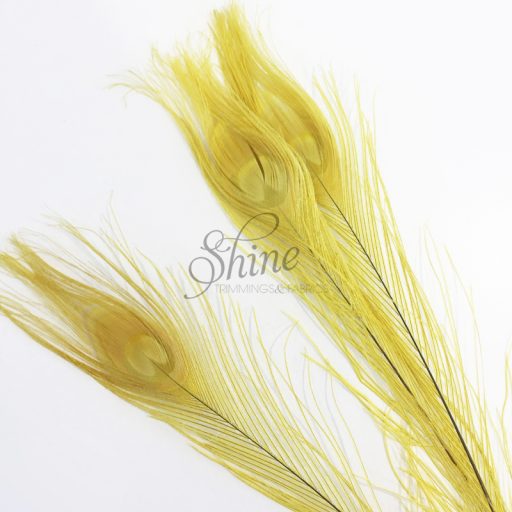 Dyed Peacock Eye Feather Large 65cm - Yellow