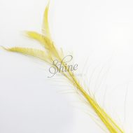 Peacock Sword Feather Large 70-80cm - Yellow