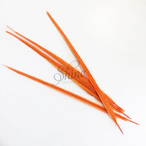 Ringneck Dyed Side Feather 55cm Orange