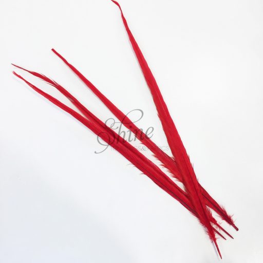 Ringneck Dyed Side Feather 55cm Red
