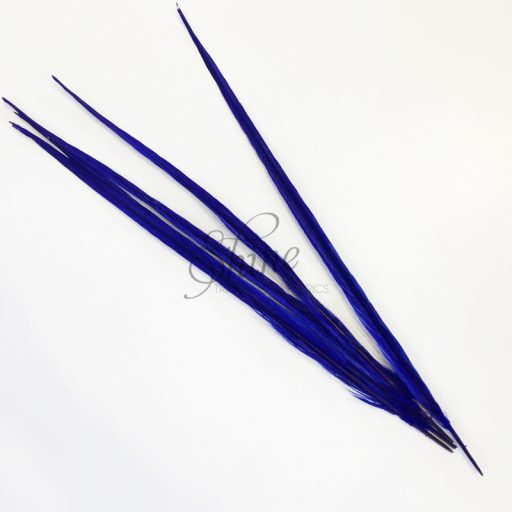 Ringneck Dyed Side Feather 55cm Royal