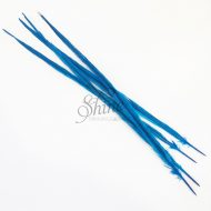 Ringneck Dyed Side Feather 55cm Turquoise
