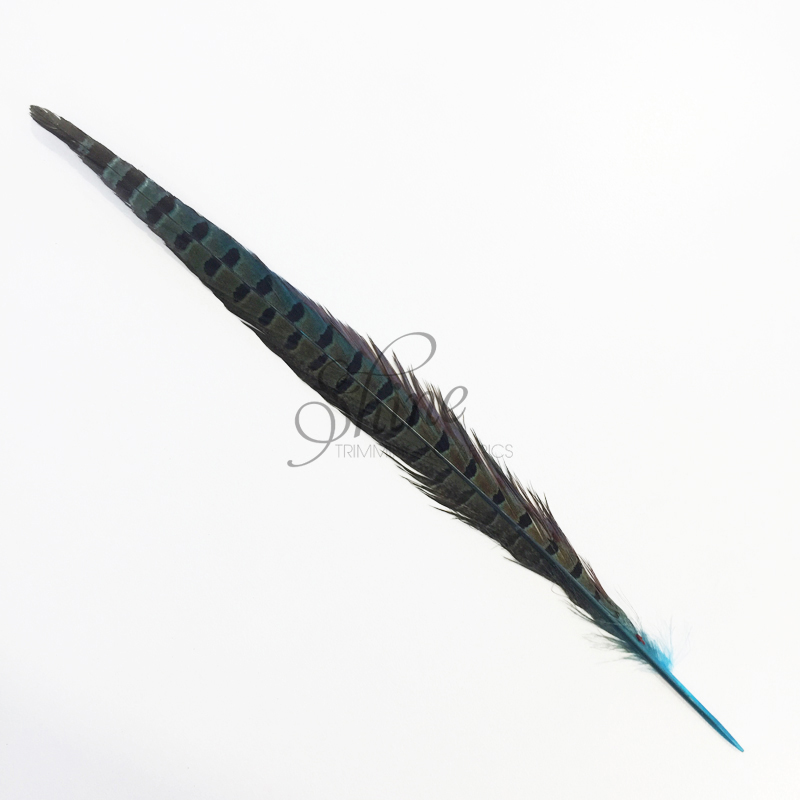 Dyed Dark Aqua Ringneck Pheasant Tails Buy 20-24 Inches