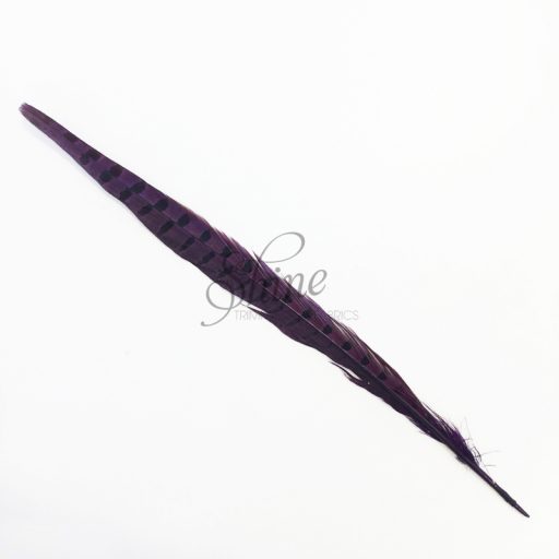Ringneck Striped Pheasant Tail Feather Small 30cm Purple