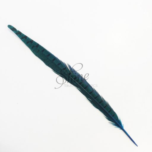 Ringneck Striped Pheasant Tail Feather Small 30cm Turquoise