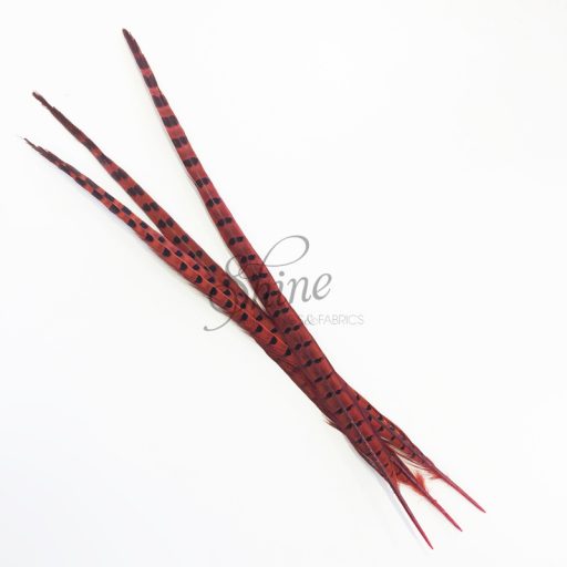 Ringneck Striped Pheasant Tail Feather Large 55cm Orange