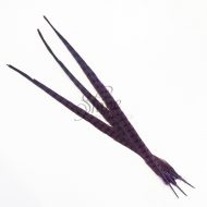 Ringneck Striped Pheasant Tail Feather Large 55cm Purple