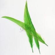 Silver Pheasant Feather Dyed 60cm Lime