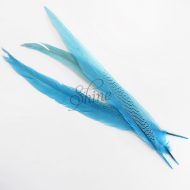 Silver Pheasant Feather Dyed 60cm Pale Blue