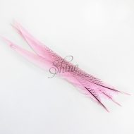 Silver Pheasant Feather Dyed 60cm Pale Pink
