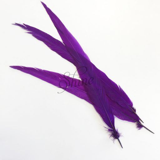 Silver Pheasant Feather Dyed 60cm Purple