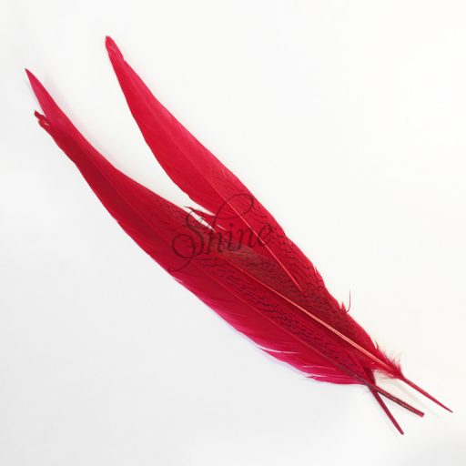Silver Pheasant Feather Dyed 60cm Red