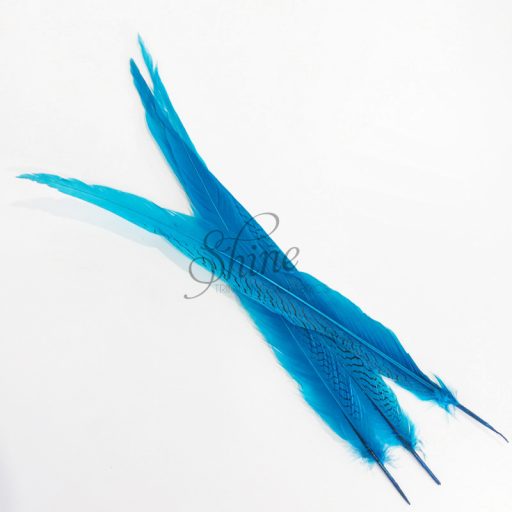 Silver Pheasant Feather Dyed 60cm Turquoise
