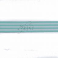 Belting Elastic -Mint/White Stripe on Soft Elastic 25mm