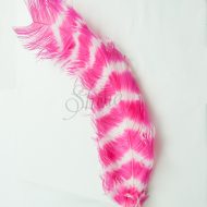 Striped Ostrich Plume - Fuchsia - White