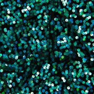 Galaxy Velvet - Black Aqua