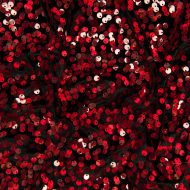 Galaxy Velvet - Black Red