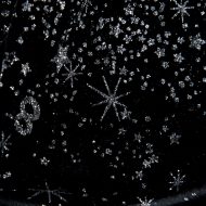 Starry Nights Black Silver