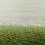 Sinamay Fabric - Lime Green