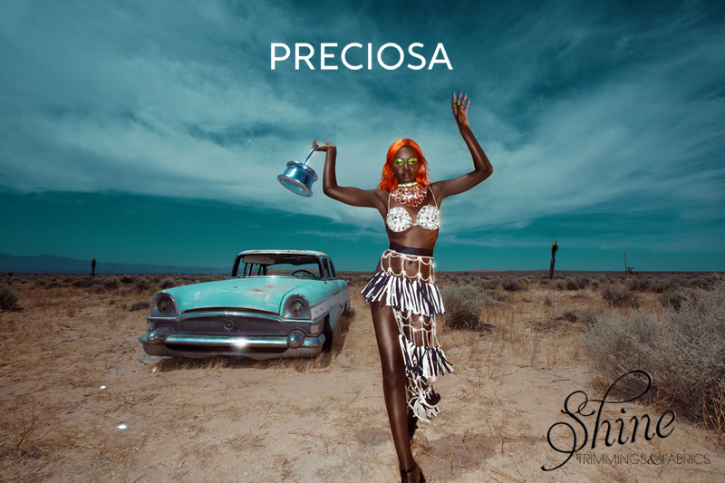 Introducing the world of Preciosa