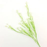 Branch of Delicate Small Flowers - White