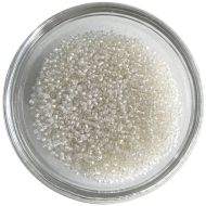 Japan Seedbead Pearl